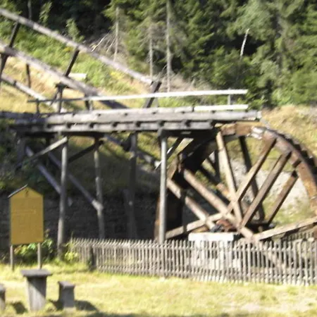 Haus Birkenstuebchen Fw Rose Lejlighed *