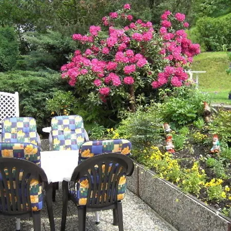 Lejlighed Haus Birkenstuebchen Fw Rose