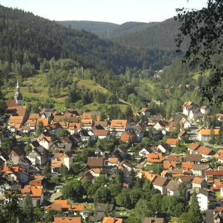 Haus Birkenstuebchen Fw Rose Lejlighed