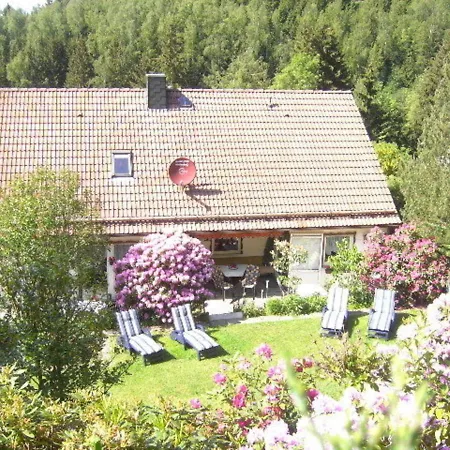 Haus Birkenstuebchen Fw Rose Lejlighed