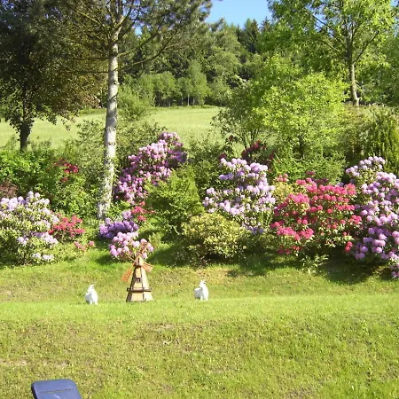 Lejlighed Haus Birkenstuebchen Fw Rose Langelsheim