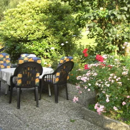 Haus Birkenstuebchen Fw Rose