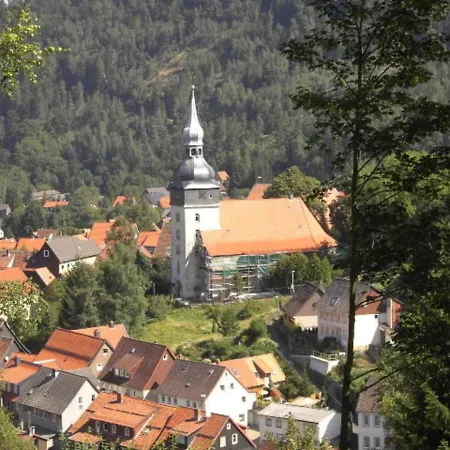 Haus Birkenstuebchen Fw Rose Lejlighed Langelsheim