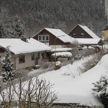 Lejlighed Haus Birkenstuebchen Fw Rose Langelsheim