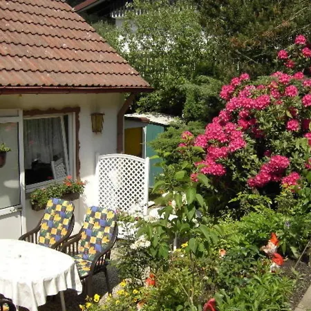Haus Birkenstuebchen Fw Rose *
